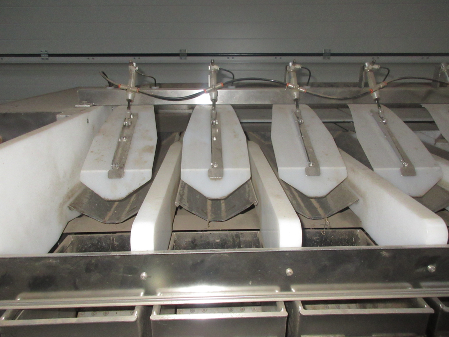 5655 Newtec 2009XB weigher for carrots and potato
