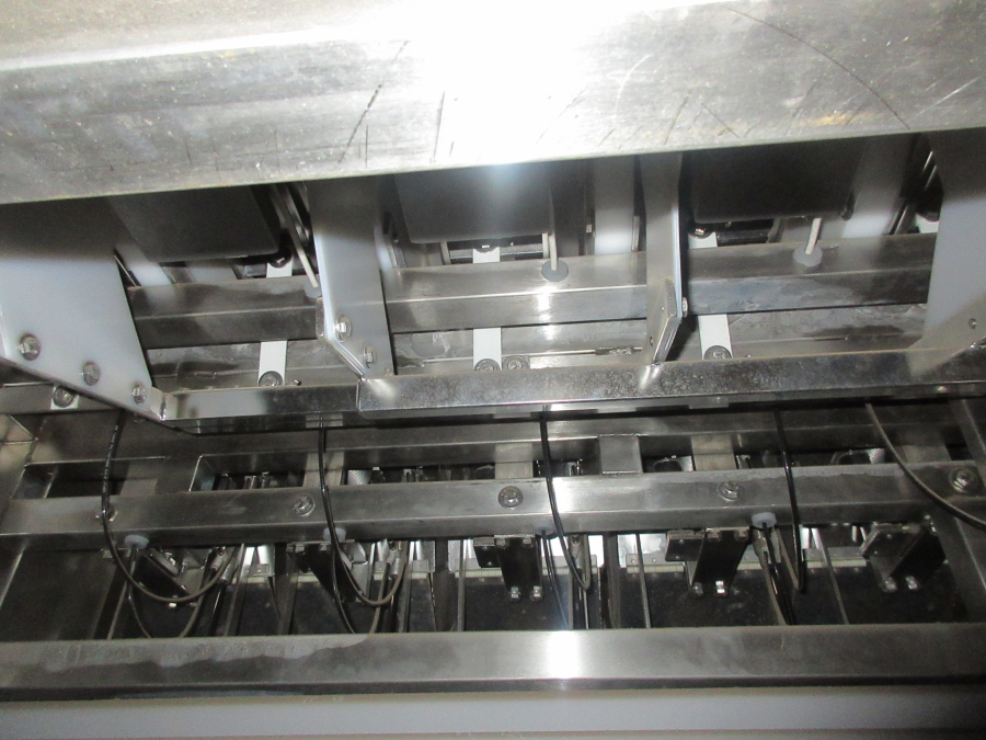 5655 Newtec 2009XB weigher for carrots and potato