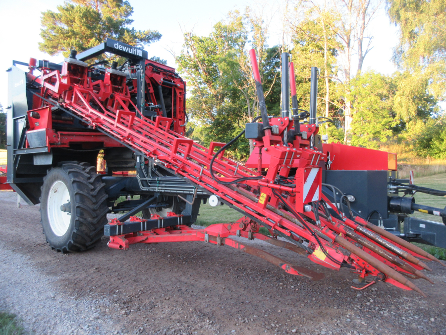 5662 Dewulf GKIIS carrot harvester 2 row with elevator