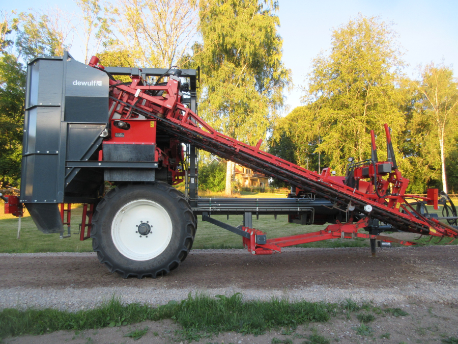 5662 Dewulf GKIIS carrot harvester 2 row with elevator