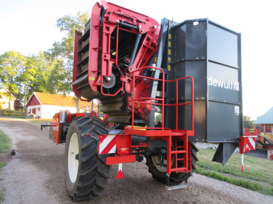 5662 Dewulf GKIIS carrot harvester 2 row with elevator
