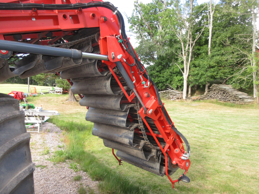 5662 Dewulf GKIIS carrot harvester 2 row with elevator