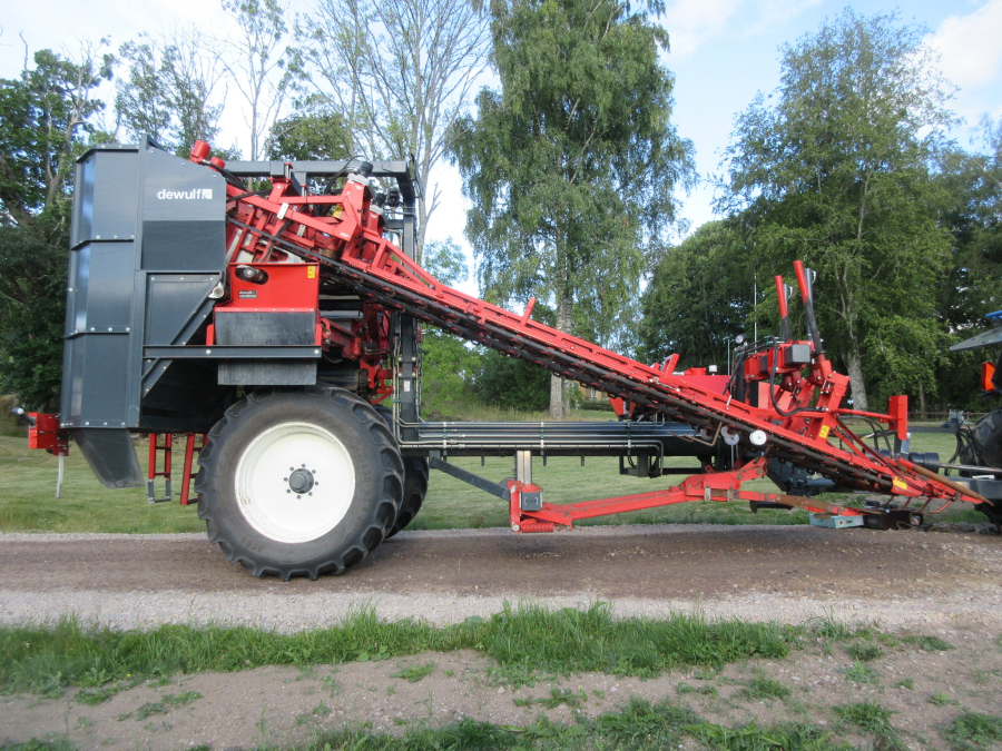 5662 Dewulf GKIIS carrot harvester 2 row with elevator