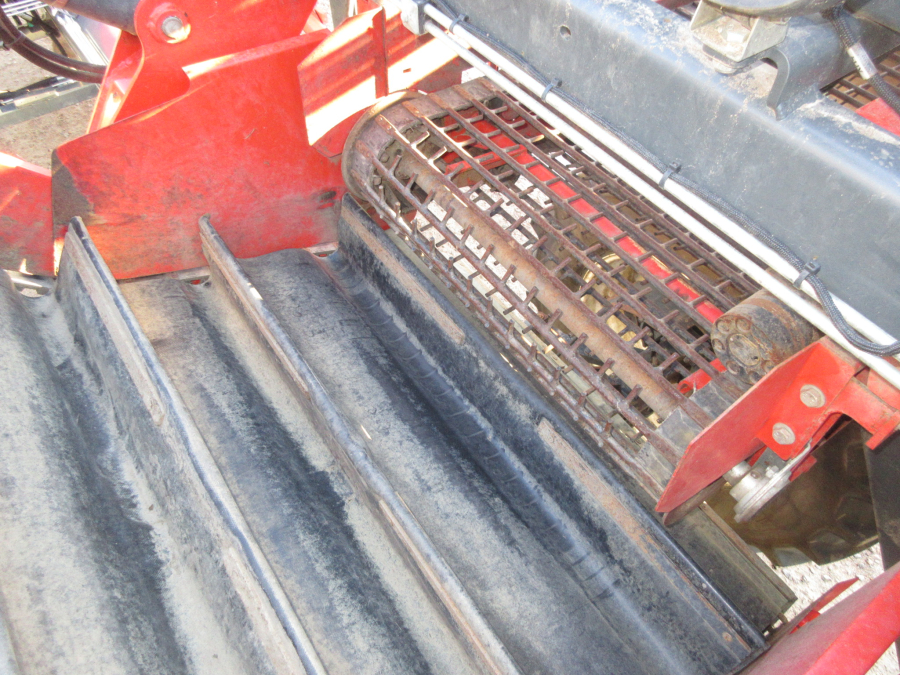 5662 Dewulf GKIIS carrot harvester 2 row with elevator