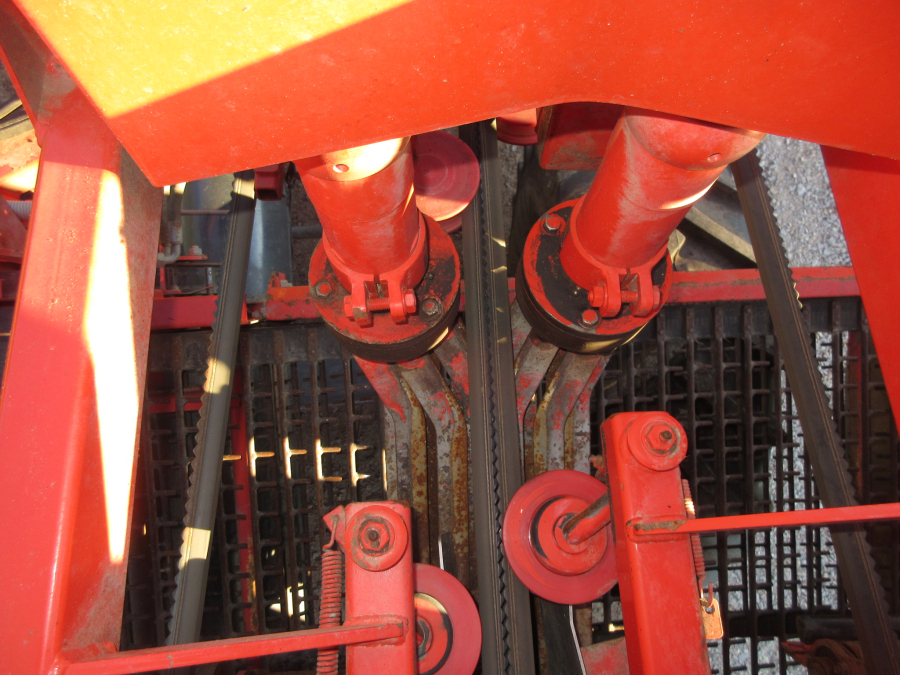 5662 Dewulf GKIIS carrot harvester 2 row with elevator