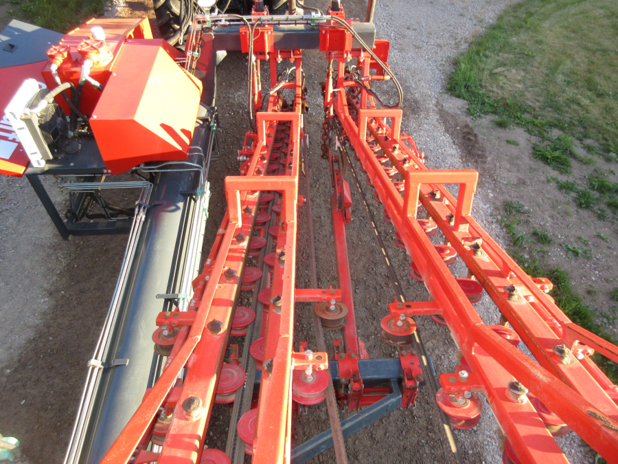 5662 Dewulf GKIIS carrot harvester 2 row with elevator