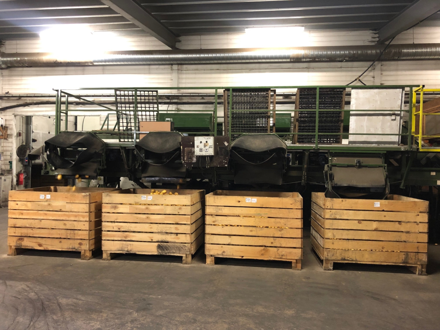 5666 Schouten potato sorter 10-25 ton/hour