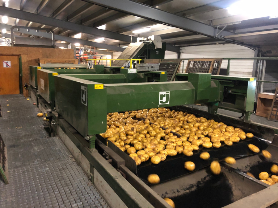 5666 Schouten potato sorter 10-25 ton/hour