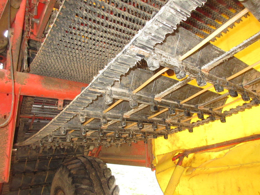 5669 Grimme SE75-40 potato harvester
