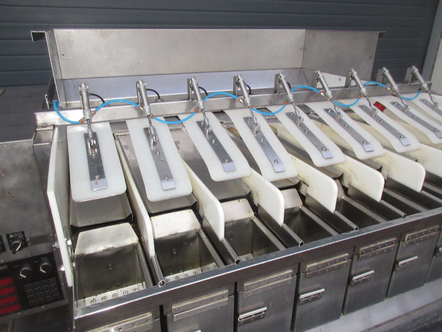 5727 Newtec 2009G Wiegemaschine für Möhren