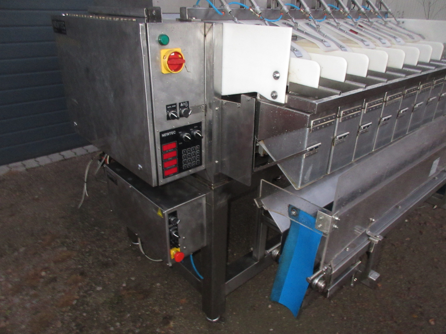 5727 Newtec 2009G Wiegemaschine für Möhren