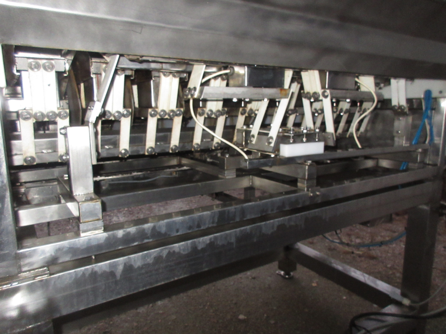 5727 Newtec 2009G Wiegemaschine für Möhren