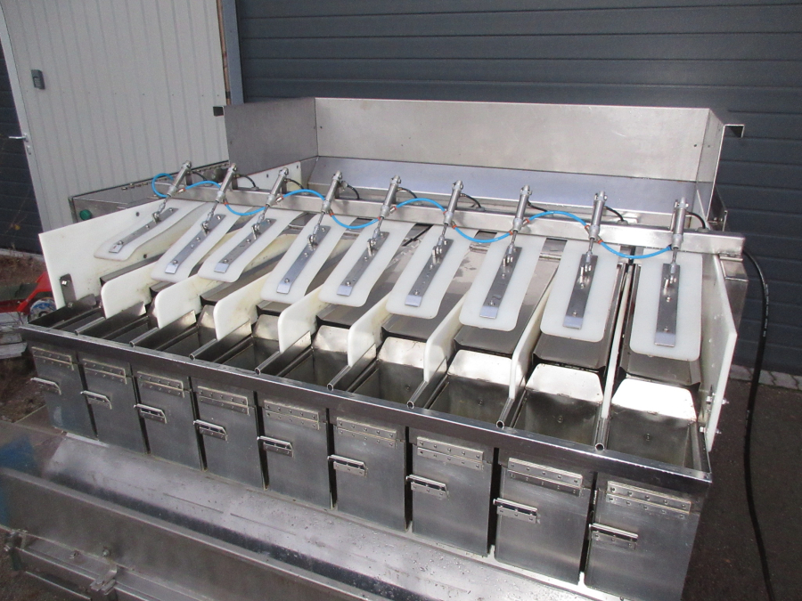 5727 Newtec 2009G Wiegemaschine für Möhren
