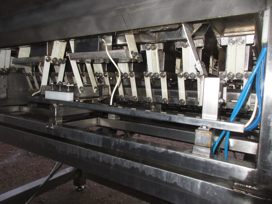 5727 Newtec 2009G Wiegemaschine für Möhren