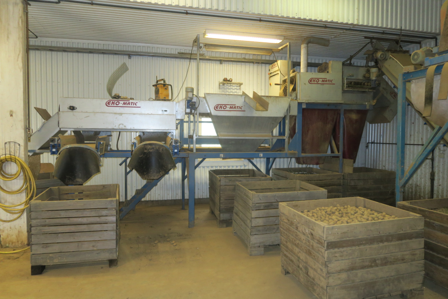 5802 Ekomatic potato sorting line