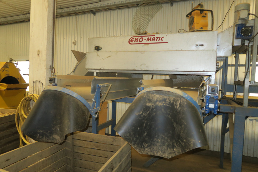 5802 Ekomatic potato sorting line