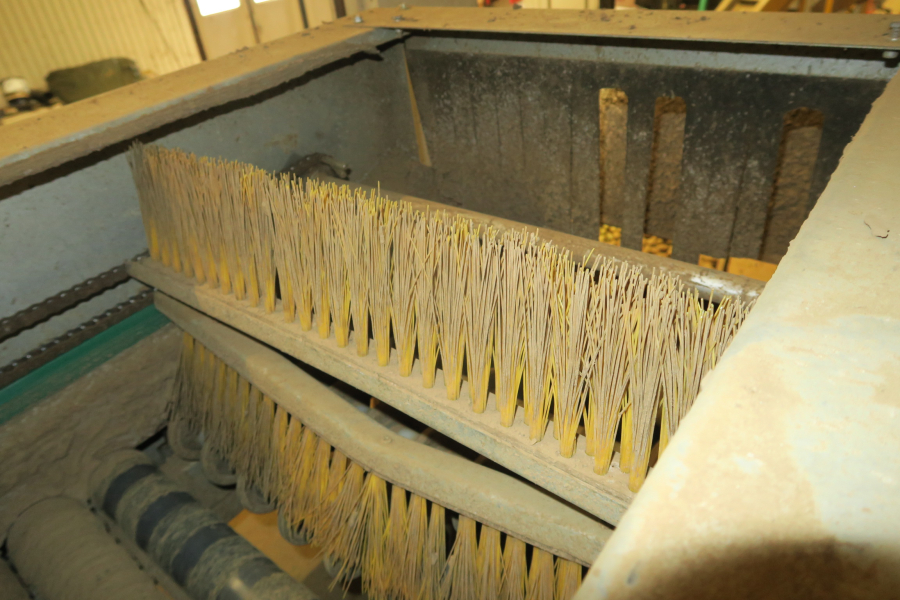 5802 Ekomatic potato sorting line