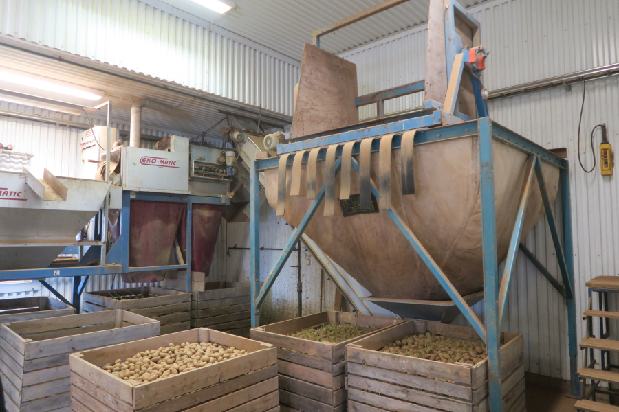 5802 Ekomatic potato sorting line