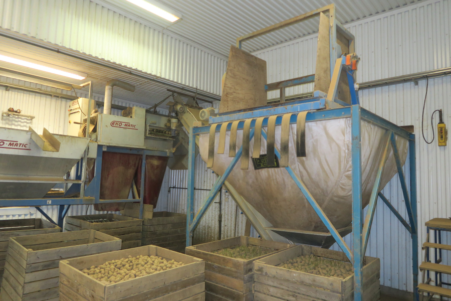 5802 Ekomatic potato sorting line