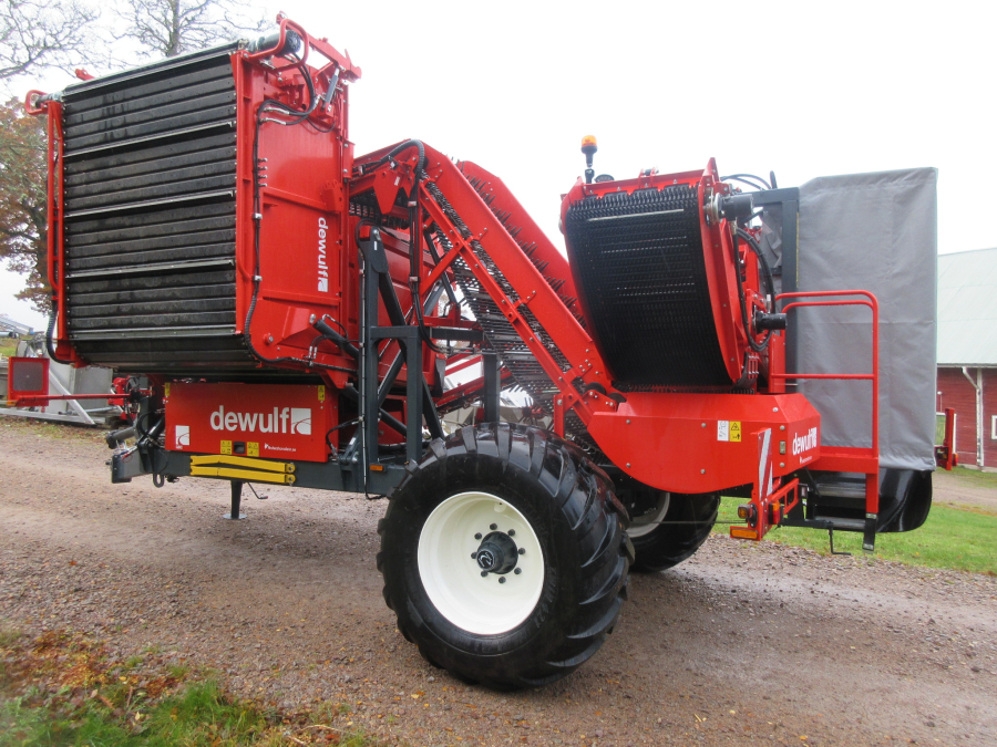 5896 Dewulf GBC carrot harvester with bunker