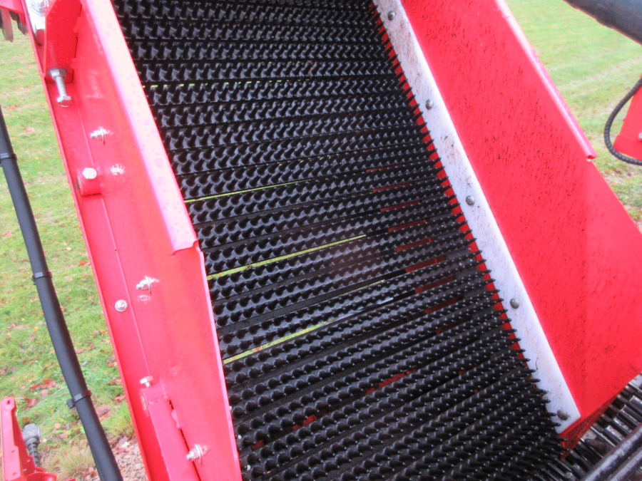 5896 Dewulf GBC carrot harvester with bunker