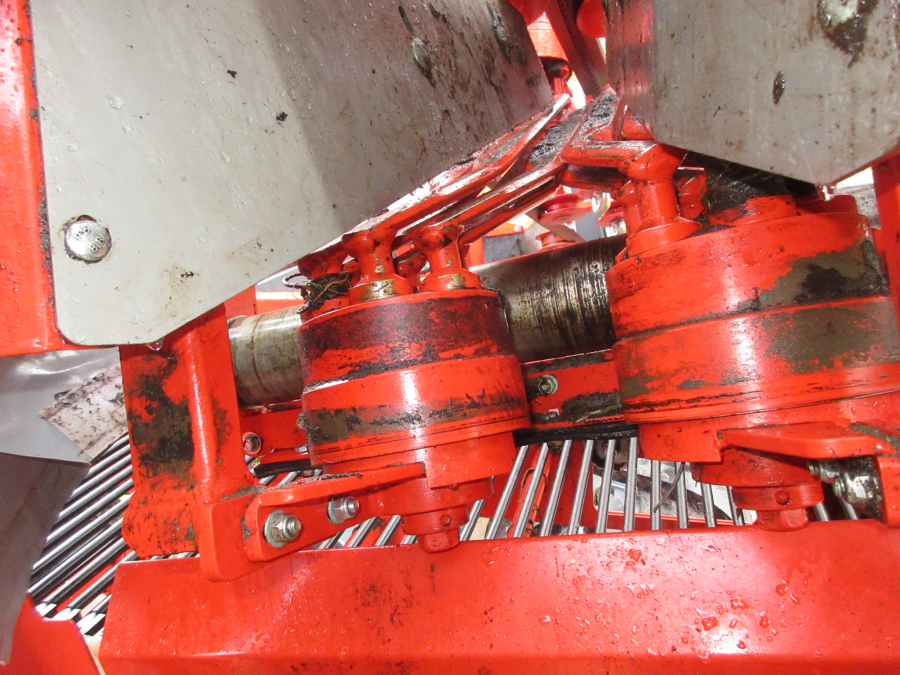 5896 Dewulf GBC carrot harvester with bunker