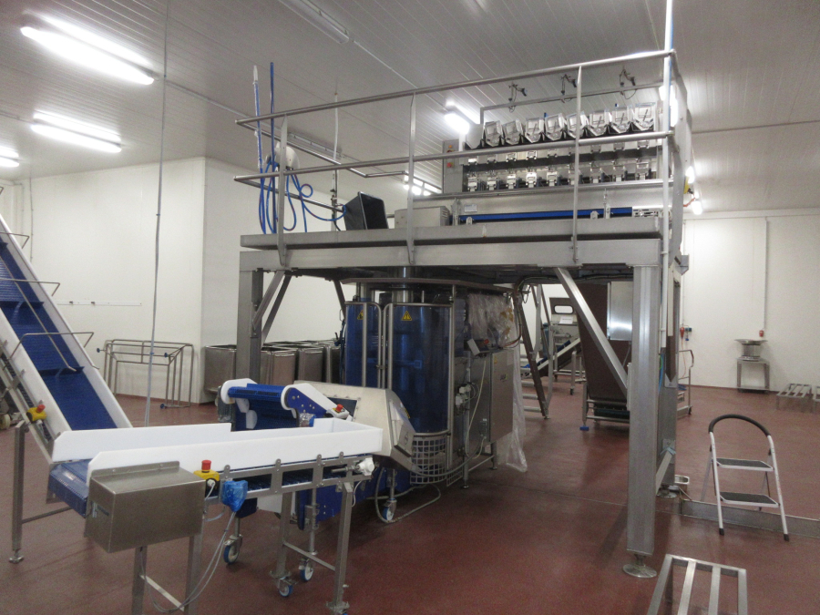 5938 Newtec JASA packaging line for processed vegetables potatoes