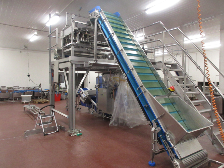 5938 Newtec JASA packaging line for processed vegetables potatoes