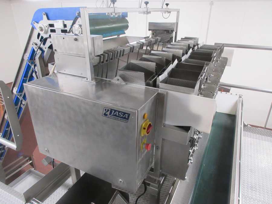5938 Newtec JASA packaging line for processed vegetables potatoes