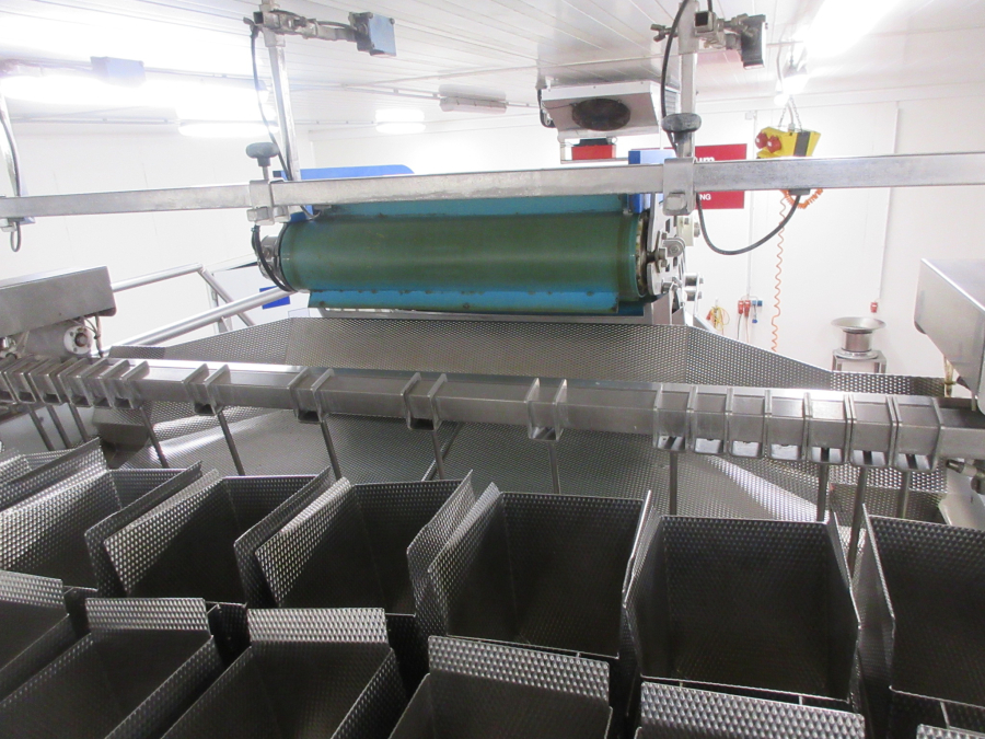 5938 Newtec JASA packaging line for processed vegetables potatoes