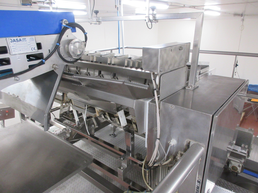 5938 Newtec JASA packaging line for processed vegetables potatoes