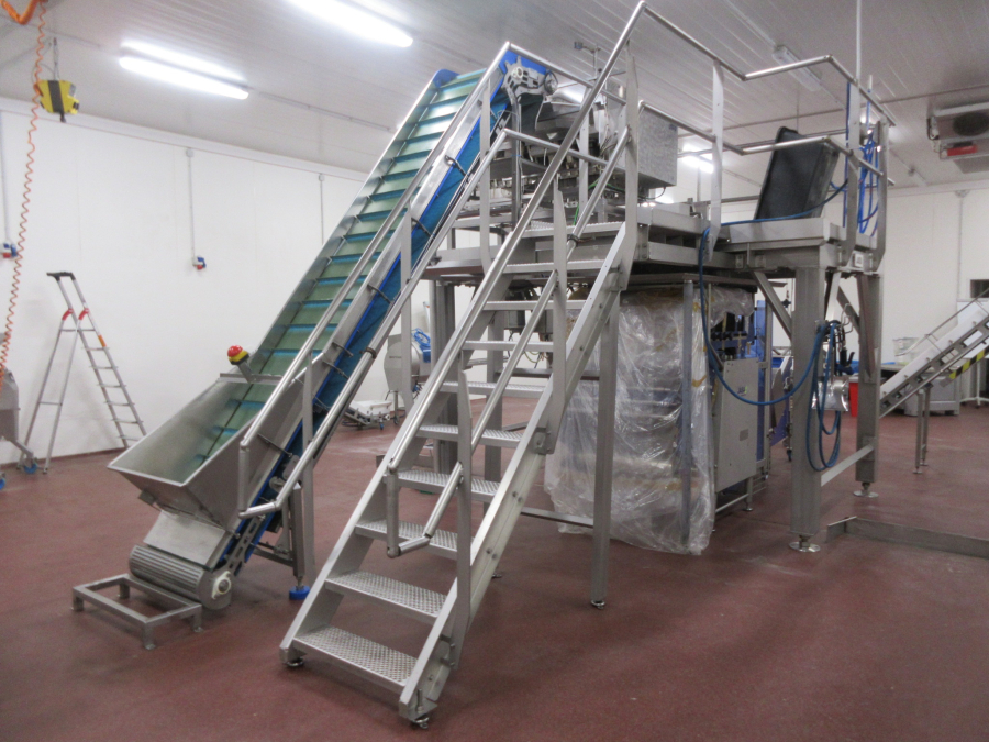 5938 Newtec JASA packaging line for processed vegetables potatoes
