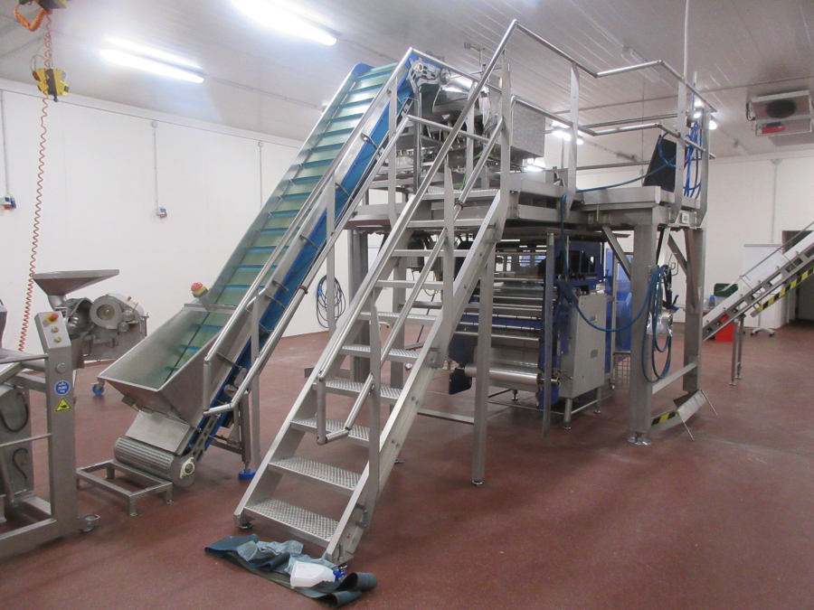5938 Newtec JASA packaging line for processed vegetables potatoes