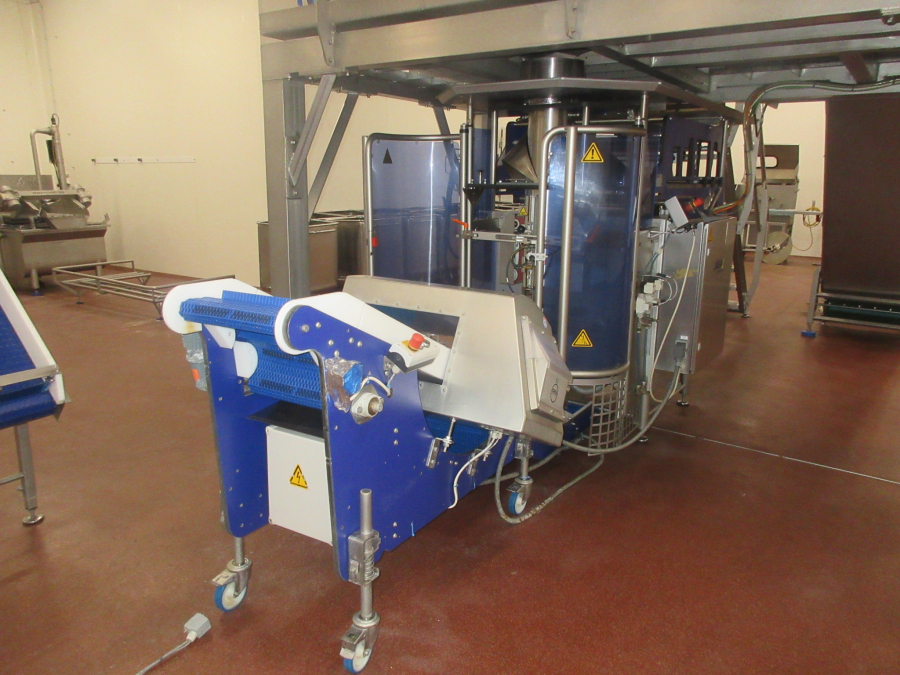 5938 Newtec JASA packaging line for processed vegetables potatoes
