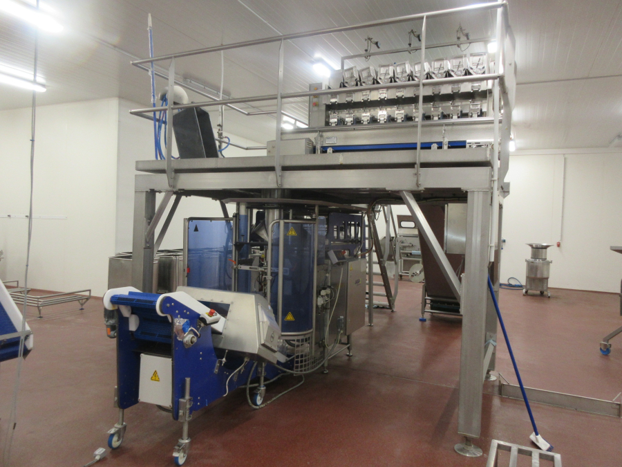 5938 Newtec JASA packaging line for processed vegetables potatoes