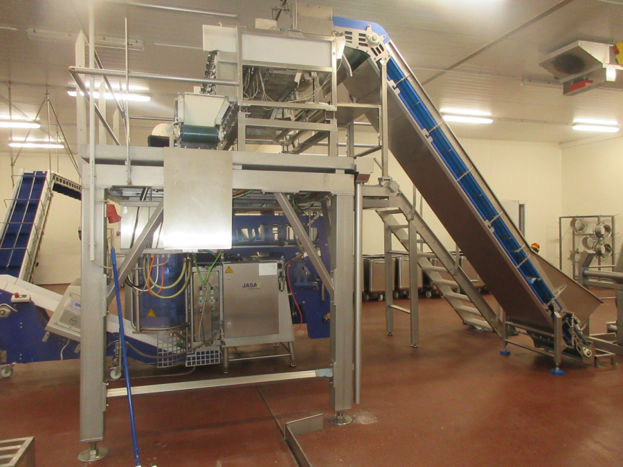 5938 Newtec JASA packaging line for processed vegetables potatoes