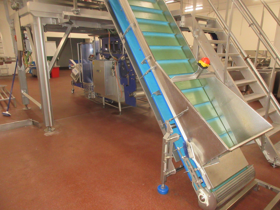 5938 Newtec JASA packaging line for processed vegetables potatoes