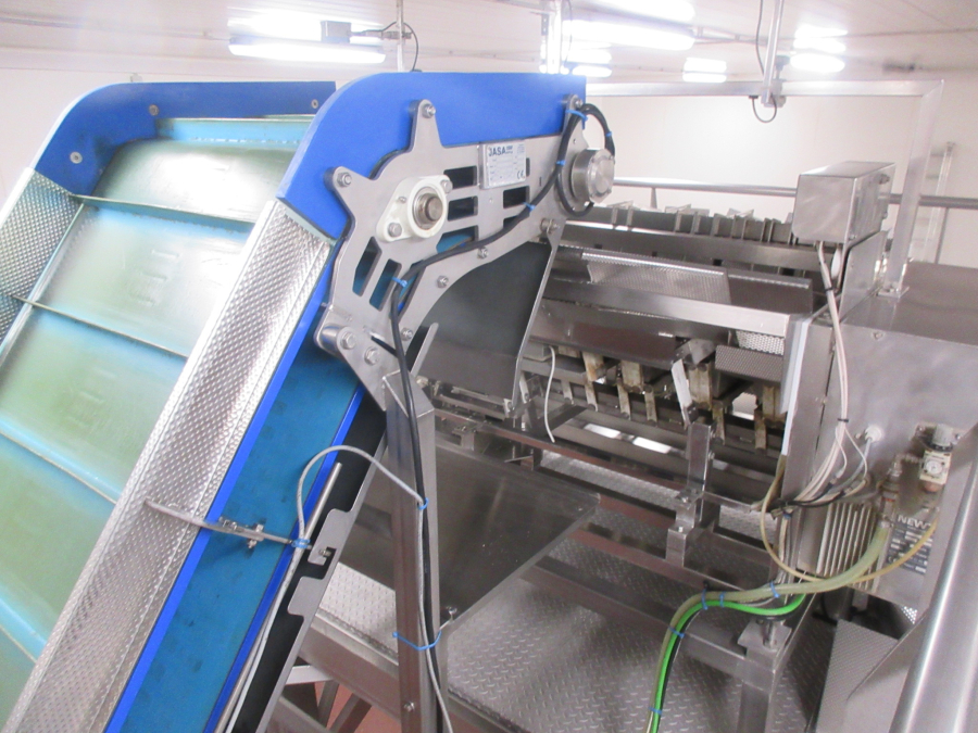 5938 Newtec JASA packaging line for processed vegetables potatoes