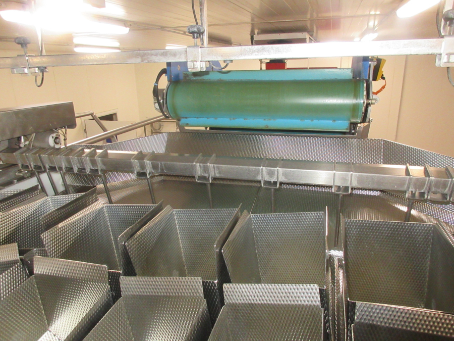 5938 Newtec JASA packaging line for processed vegetables potatoes