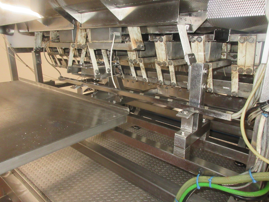 5938 Newtec JASA packaging line for processed vegetables potatoes