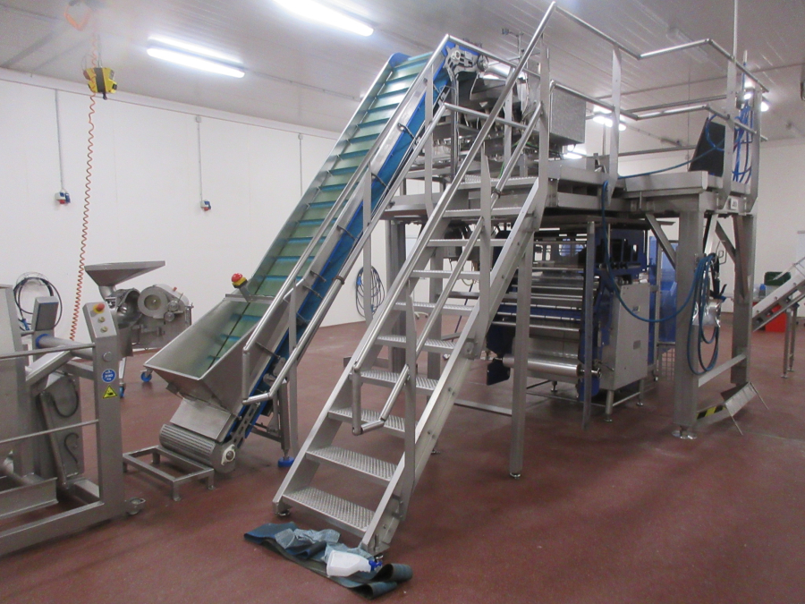5938 Newtec JASA packaging line for processed vegetables potatoes