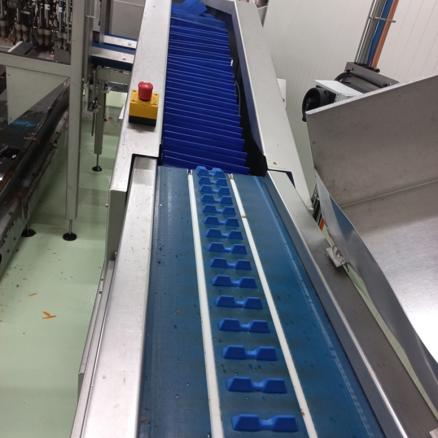 5966 Tenrit plus C16 carrot peeling line with top and tail