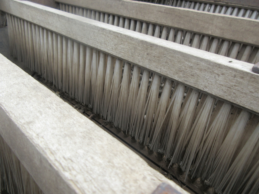 5990 Langco potato sorter / onion sorter