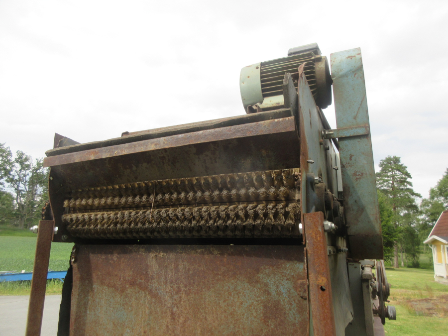 5990 Langco potato sorter / onion sorter