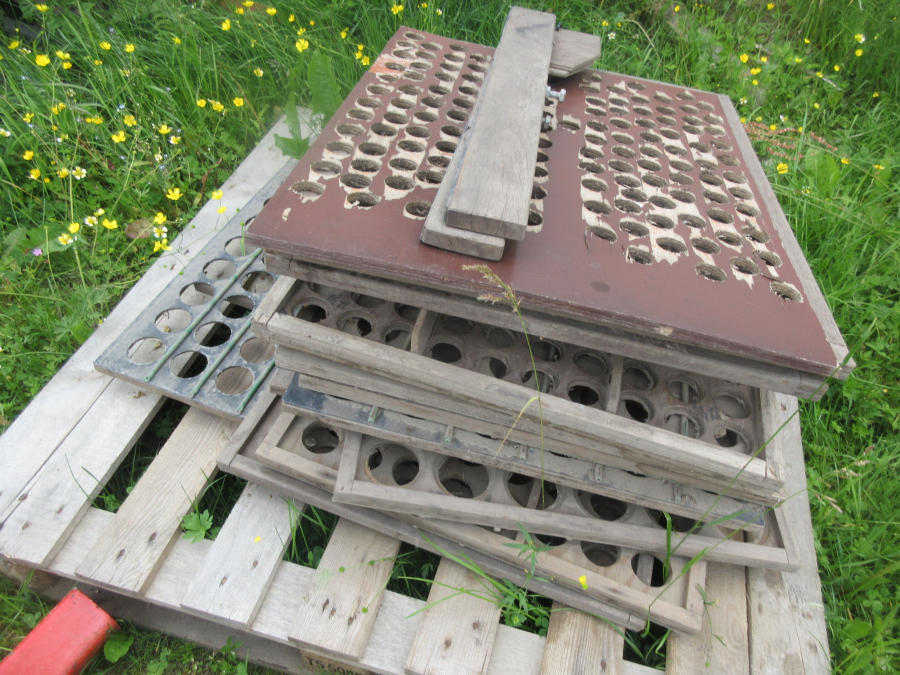 5990 Langco potato sorter / onion sorter