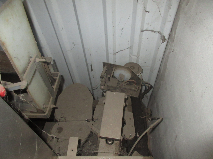 6025 Newtec G30A weigher and bagger for carrots