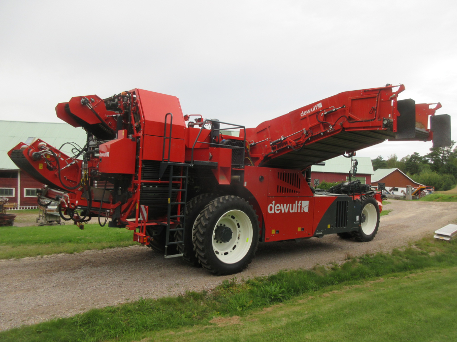 6036 Dewulf RA3060 potato harvester DEMO selfpropelled