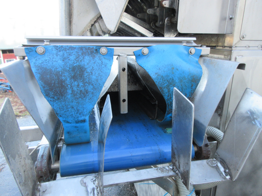 6071 Newtec 2012DG carrot weigher
