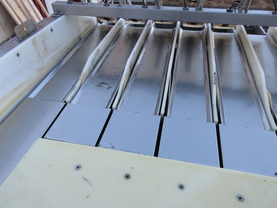 6071 Newtec 2012DG carrot weigher
