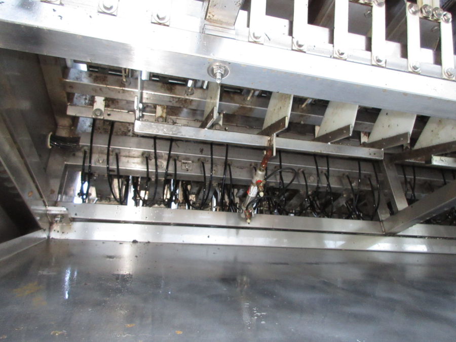 6071 Newtec 2012DG carrot weigher